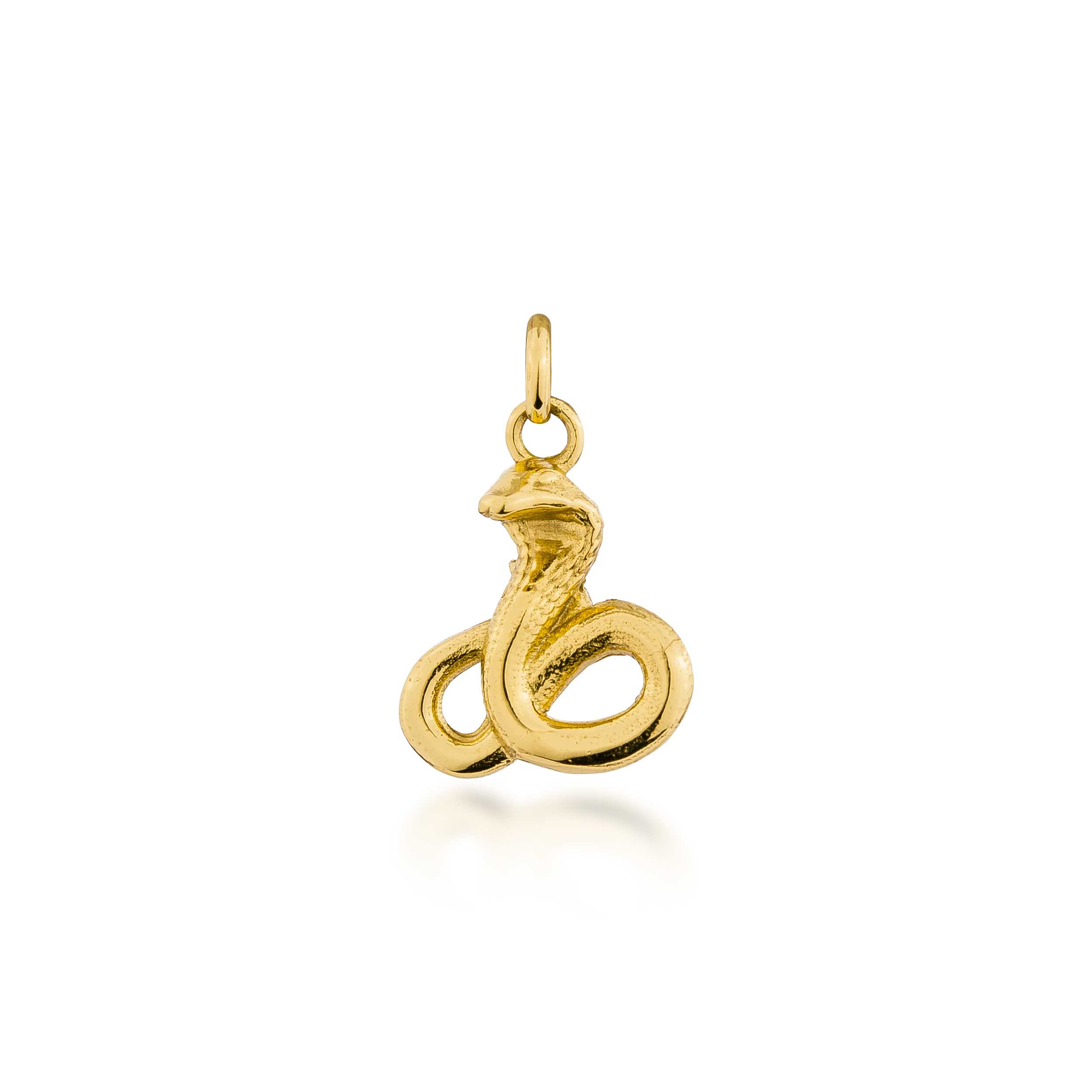 YEAR OF THE SNAKE