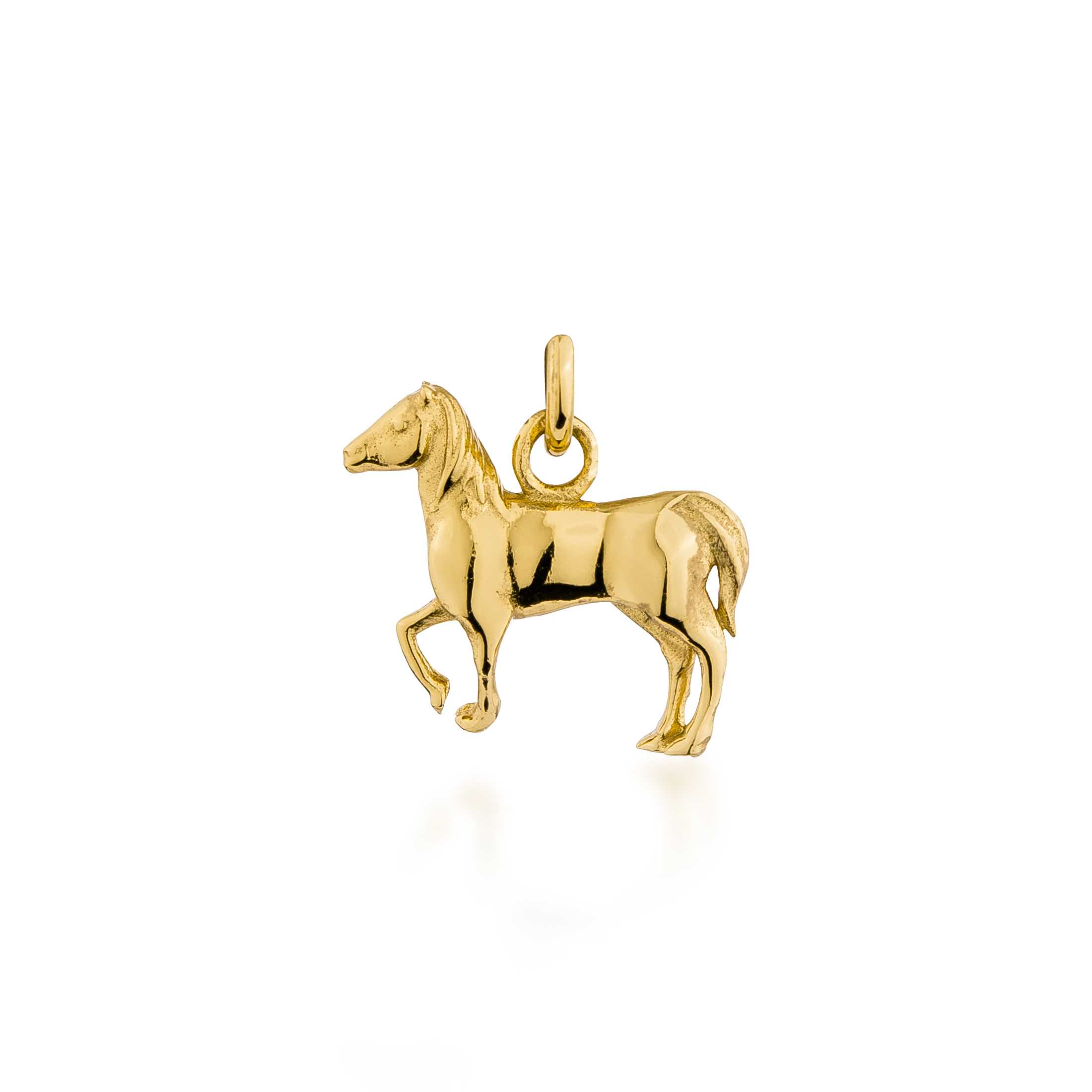 YEAR OF THE HORSE