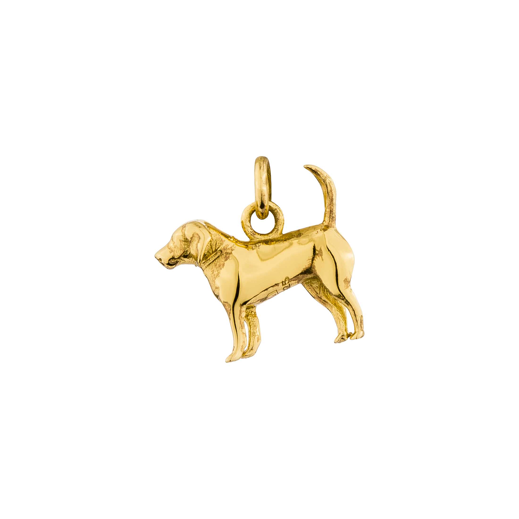 YEAR OF THE DOG