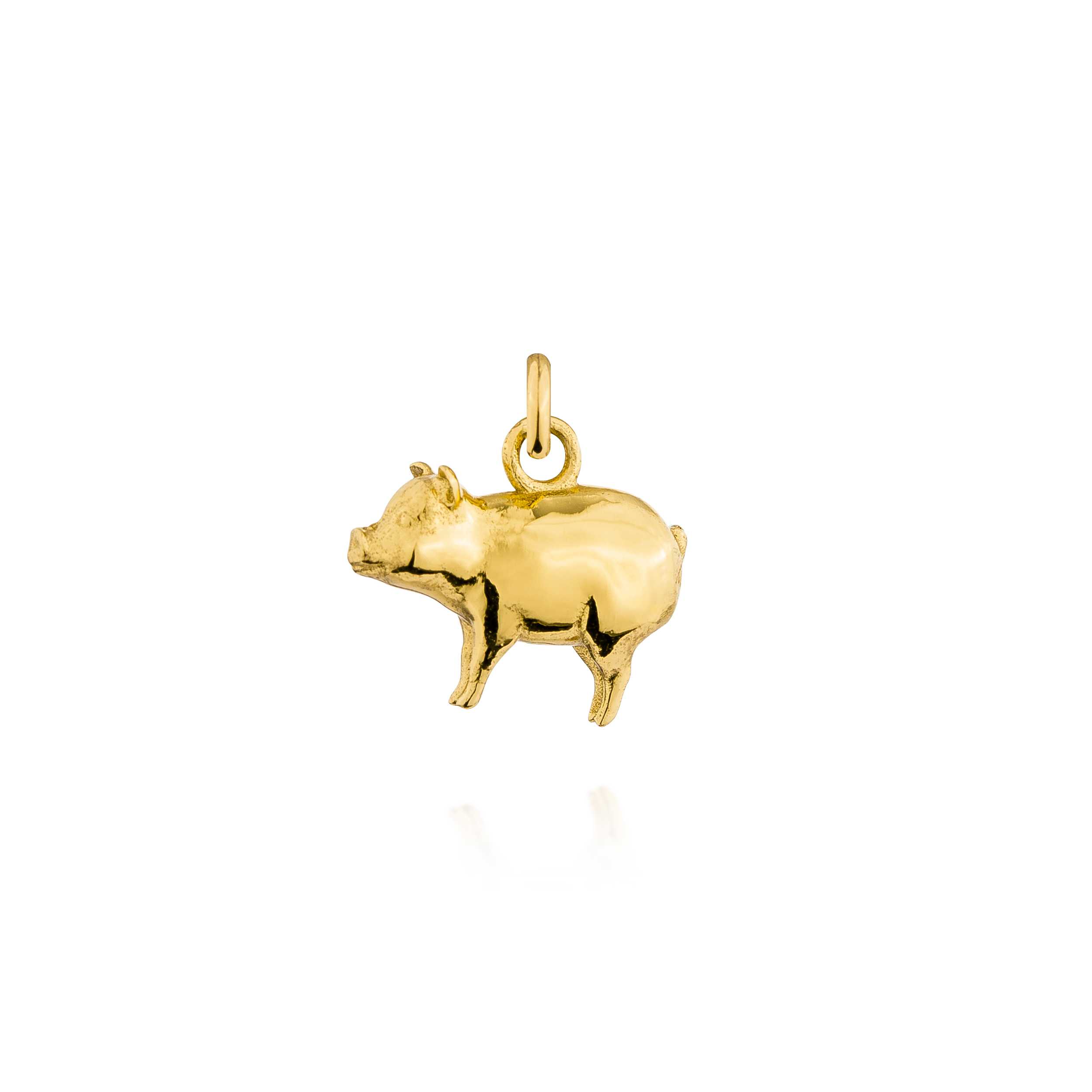 YEAR OF THE PIG