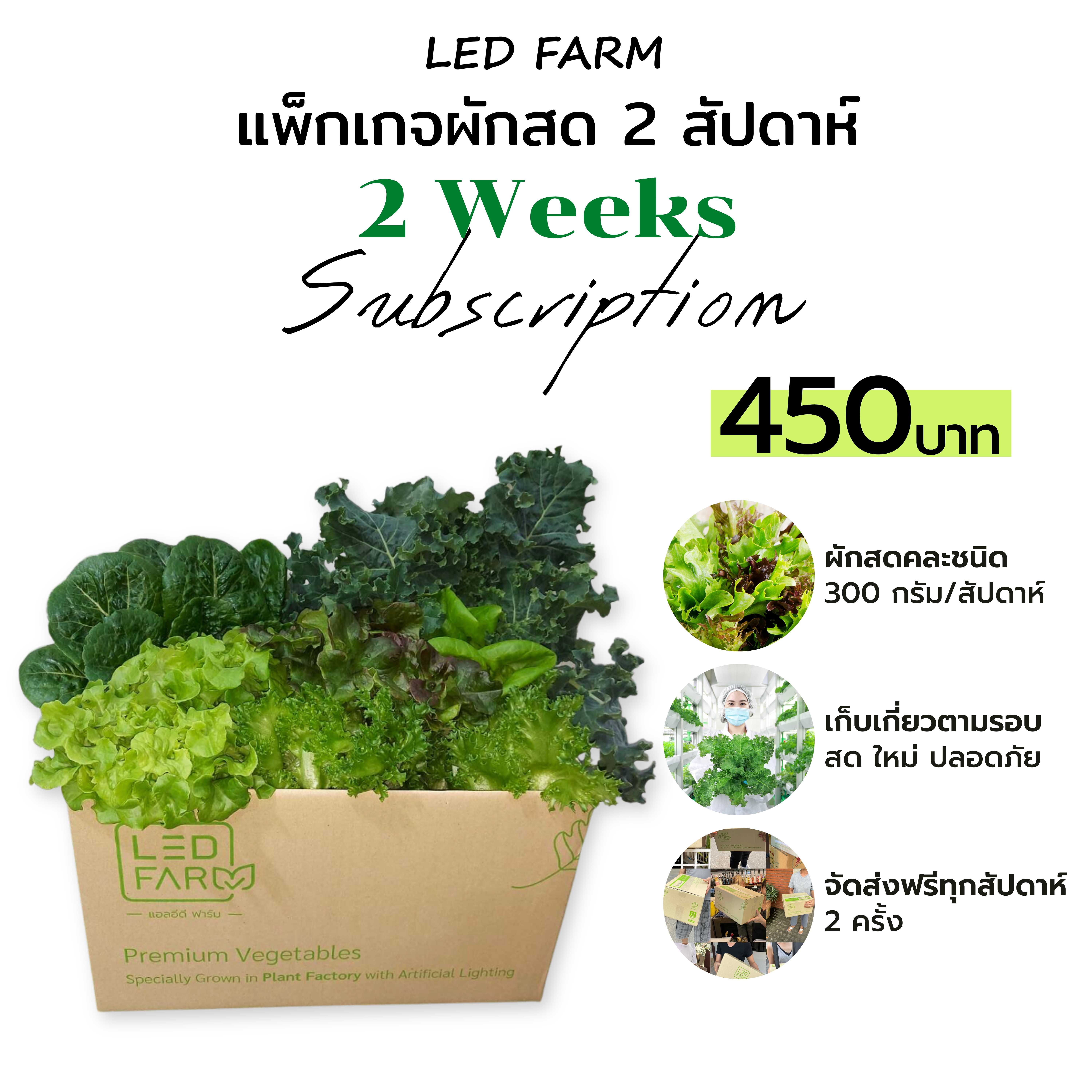 แพ็กเกจผักสด 2 สัปดาห์ 450บาท |  STARTER PACKAGE