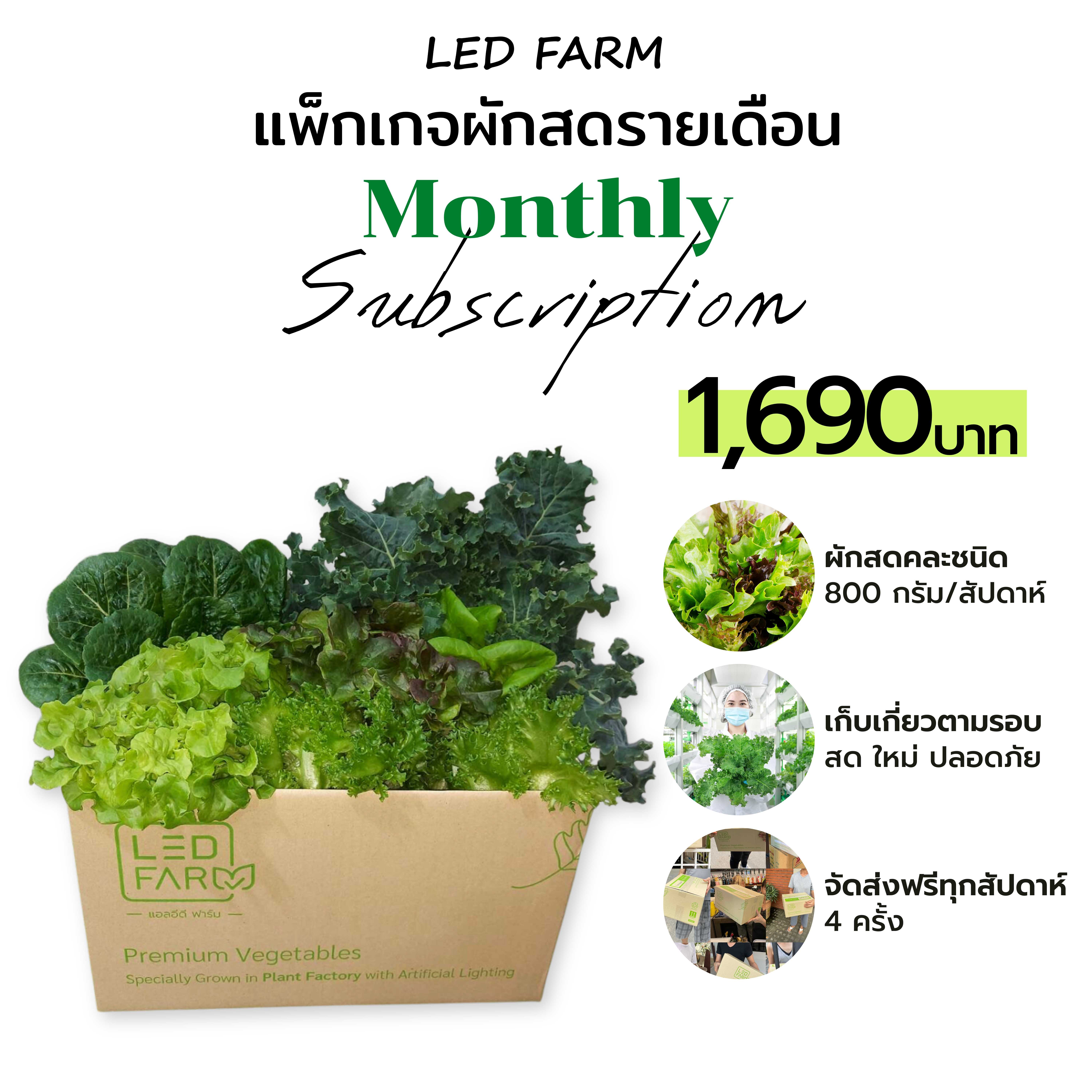 แพ็กเกจผักสดรายเดือน 1,690บาท
