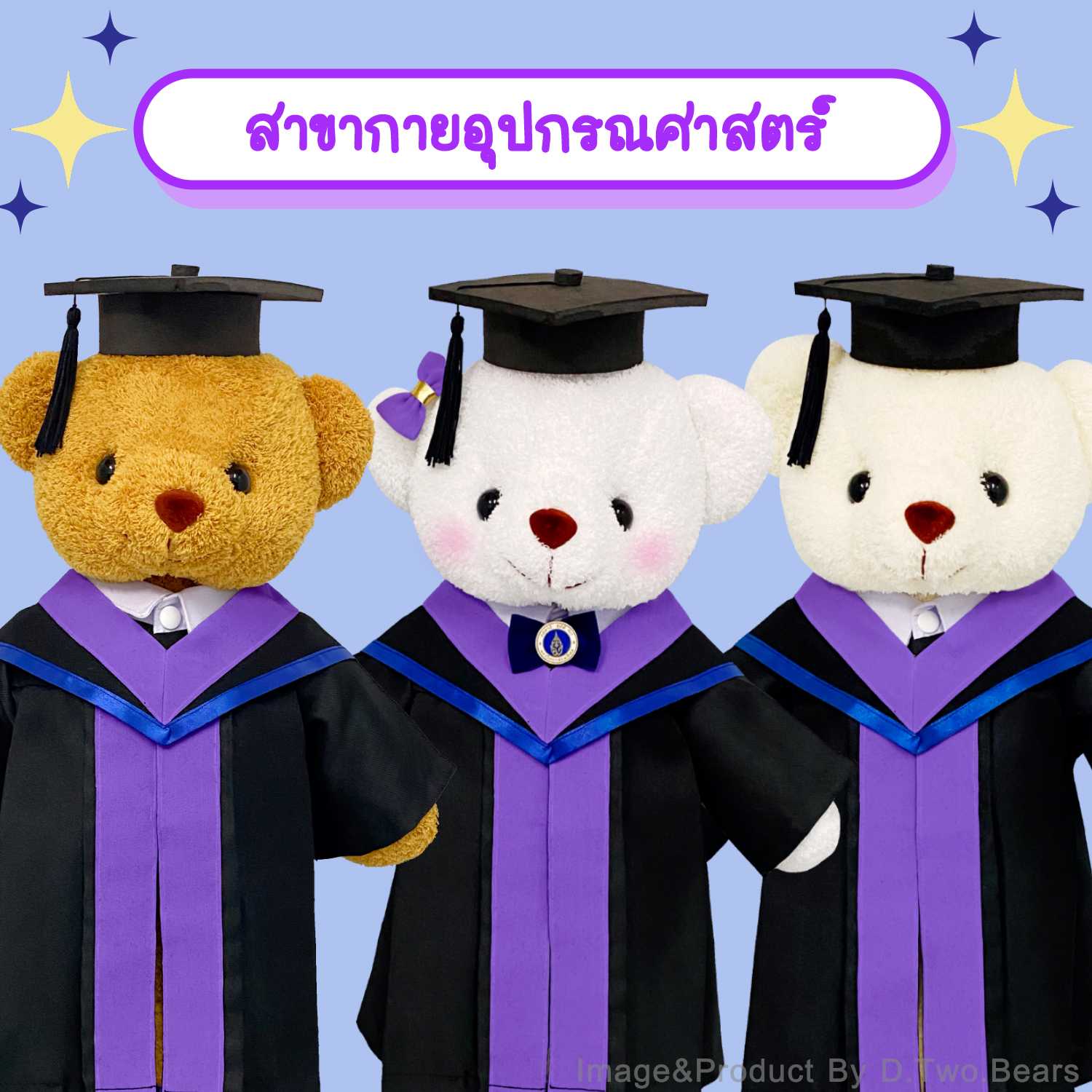 ตุ๊กตาหมีชุดครุย มหิดล สาขากายอุปกรณ์ศาสตร์(แถบสีม่วงสด)