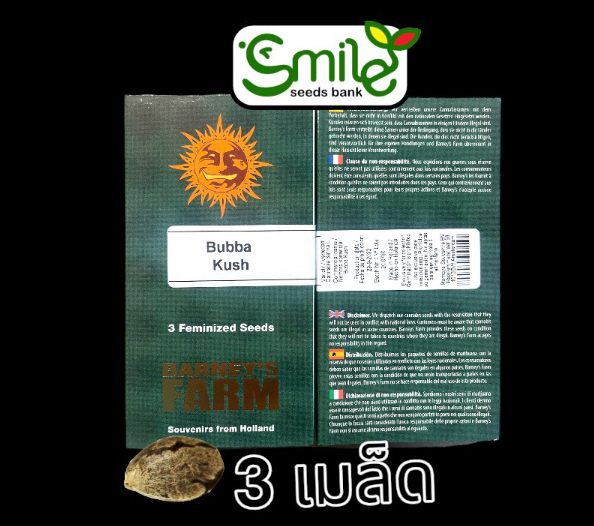 Bubba Kushh Fem Pack 3 seed