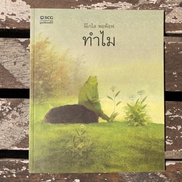 ทำไม นิทานภาพ wordless 3-7 ปี