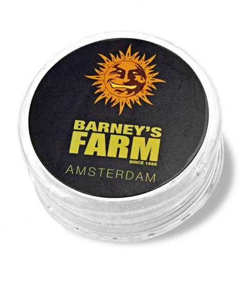 Barney’s Farm Clear Grinder