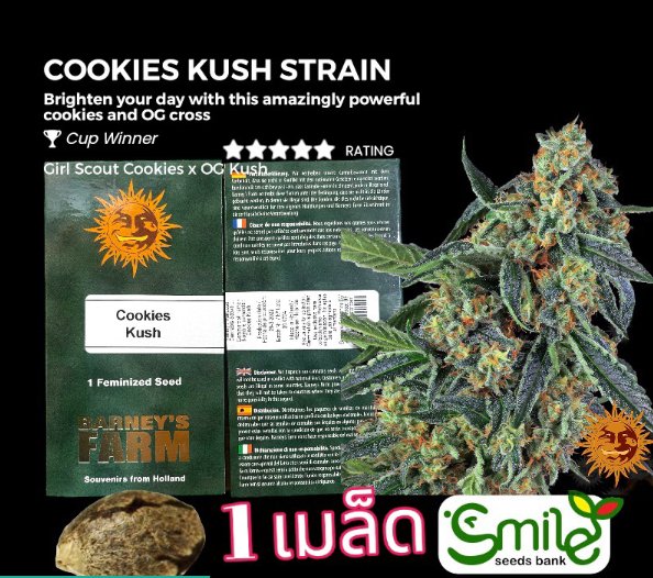 Cookies Kushh Fem Pack 1 seed