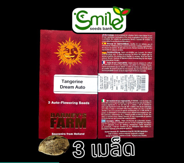 Tangerine Dream Fem Pack 3 seeds
