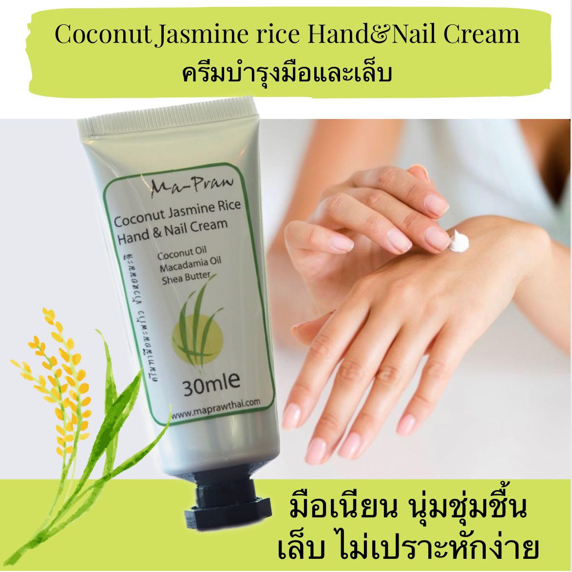 Coconut Jasmine rice Hand&Nail Cream  ครีมทามือข้าวหอมมะลิ30g