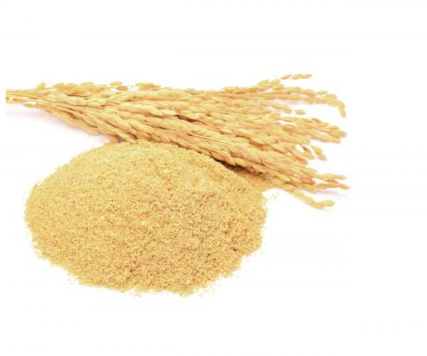 Fitfood - Rice Protein 500g  /โปรตีนจากข้าว