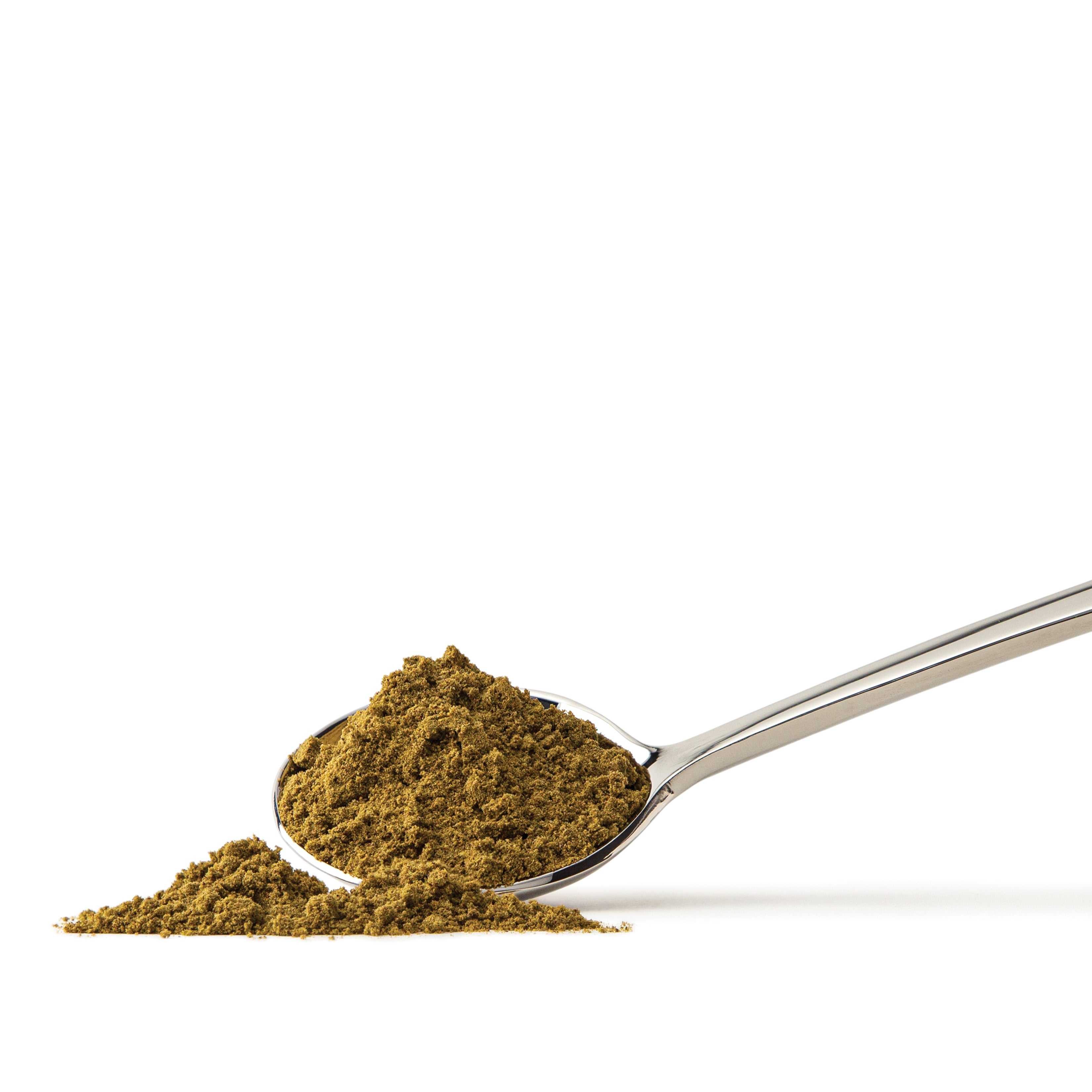 Fitfood - H e m p Protein 500g