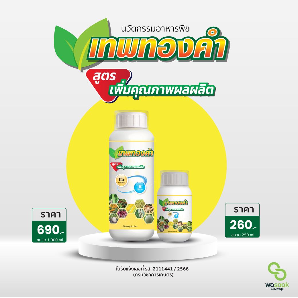 เทพทองคำ
