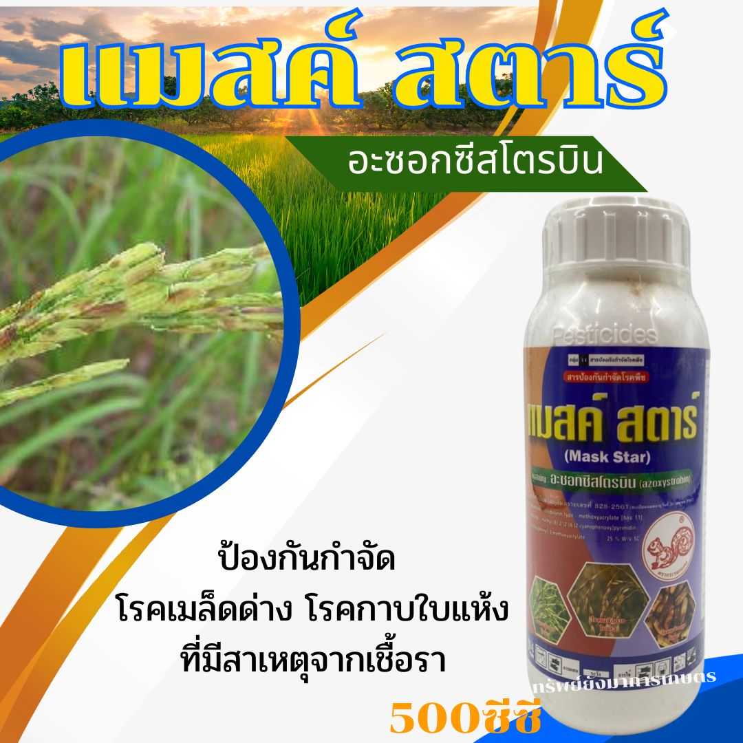แมสค์สตาร์ (อะซอกชีสโตรบิน) 500ml.  ป้องกันกำจัด โรคเมล็ดด่าง โรคกาบใบแห้ง ที่มีสาเหตุจากเชื้อรา