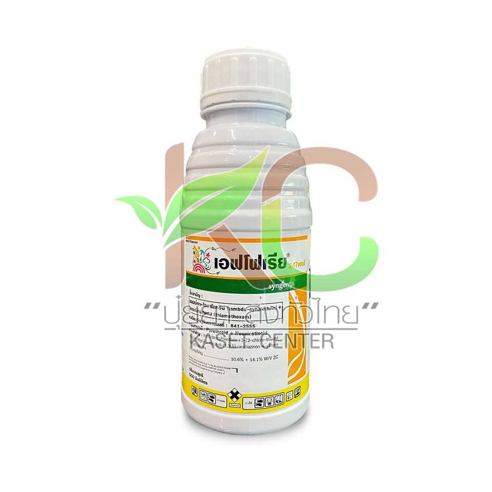 เอฟโฟเรีย 247แซดซี (Eforia 247 ZC) 500cc