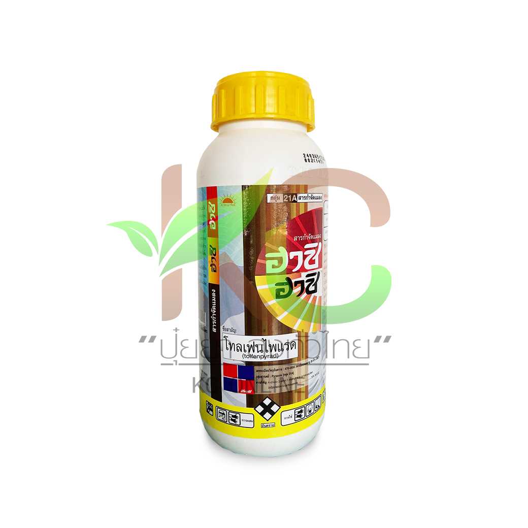 ฮาชิ ฮาชิ (Hachi-Hachi) 500ซีซี