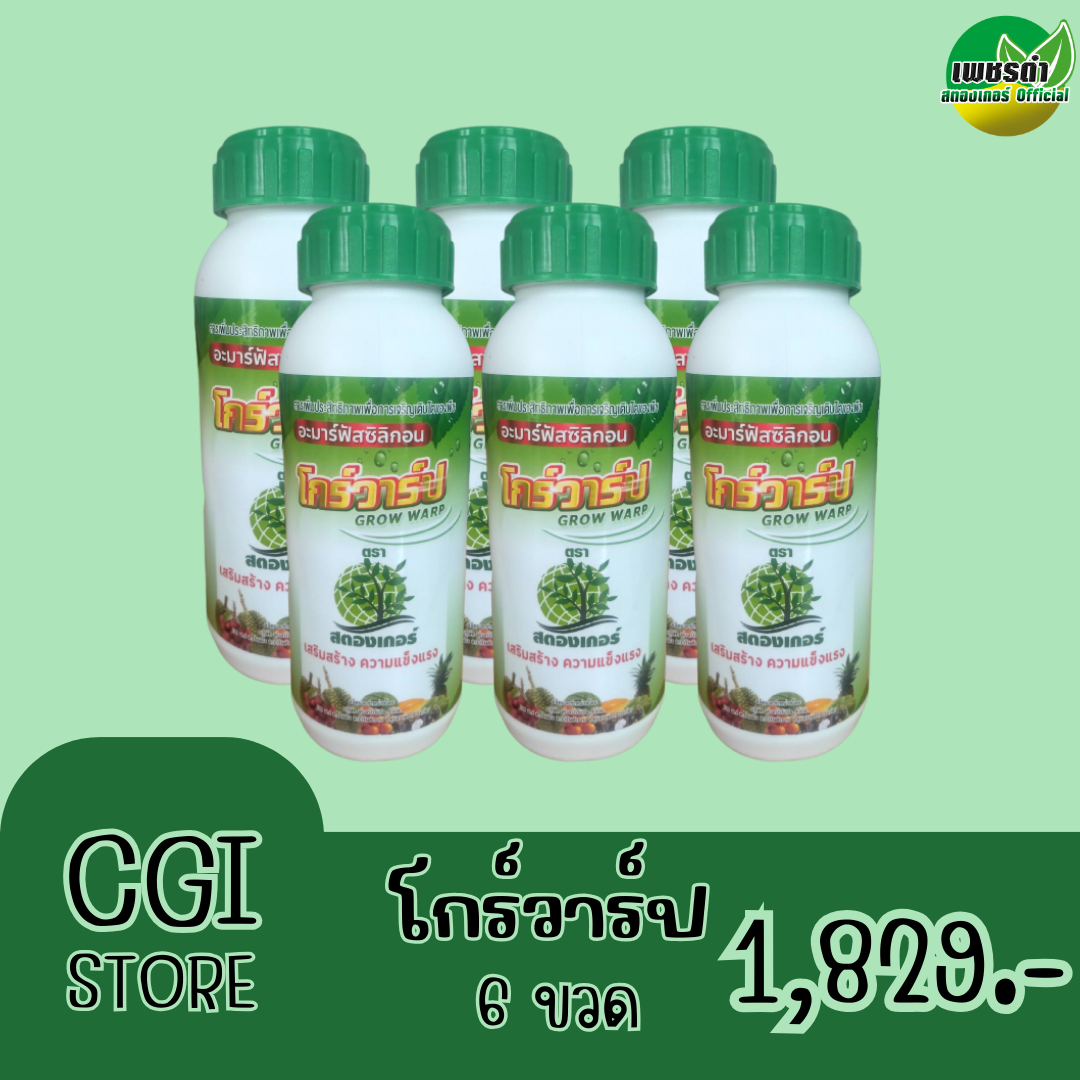 โกร์วาร์ป 6 ขวด