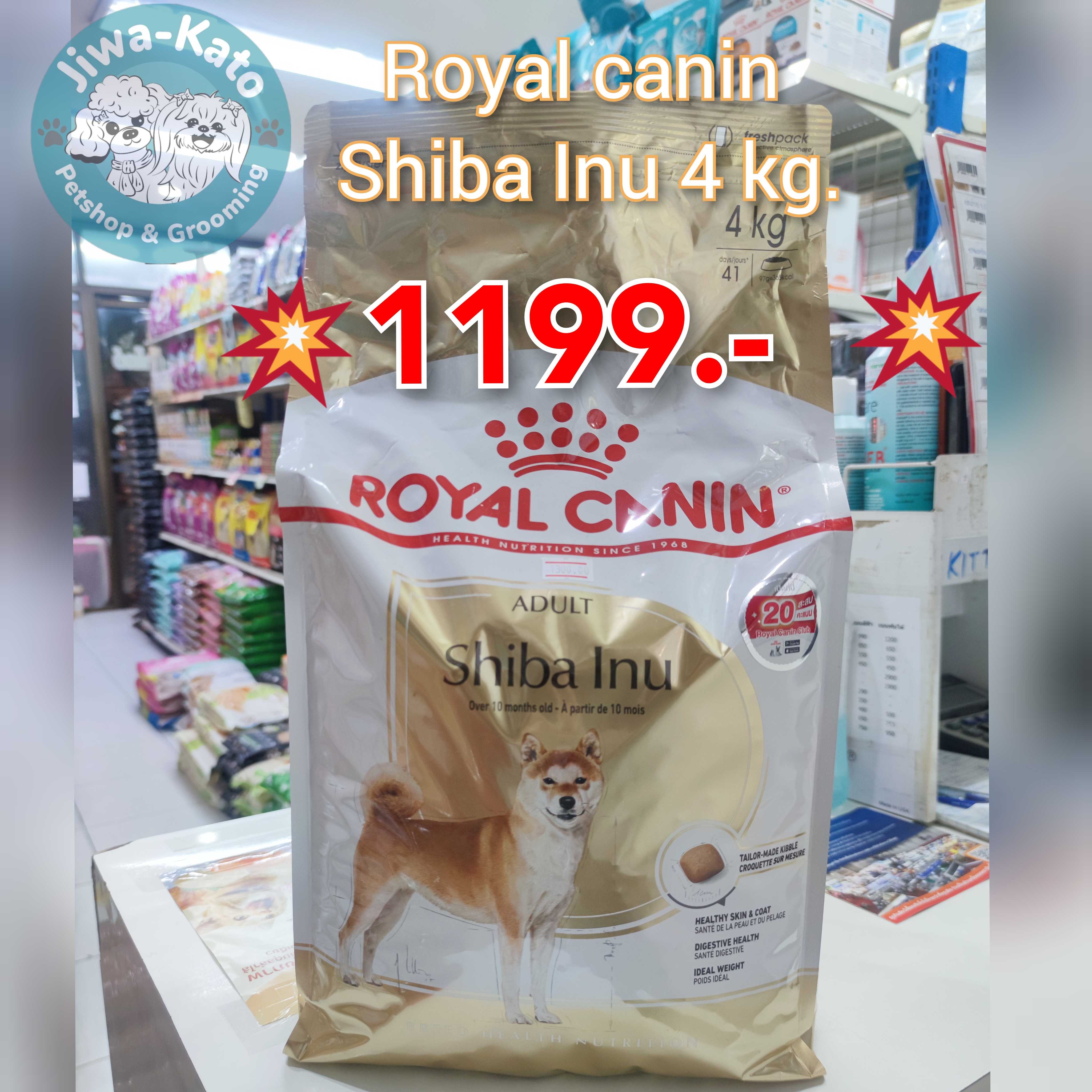 Royal Canin Shiba Inu Adult - อาหารสุนัขพันธุ์ชิบะ อินุ 4kg.  อาหารเม็ด สำหรับสุนัขโต พันธุ์ชิบะ อาย