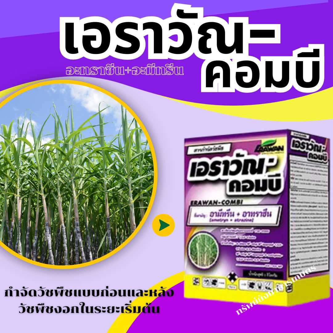เอราวัณ-คอมบี (อะทราซีน+อะมีทรีน)1กิโลกรัม กำจัดวัชพืชแบบก่อนและหลังวัชพืชงอกในระยะเริ่มต้น