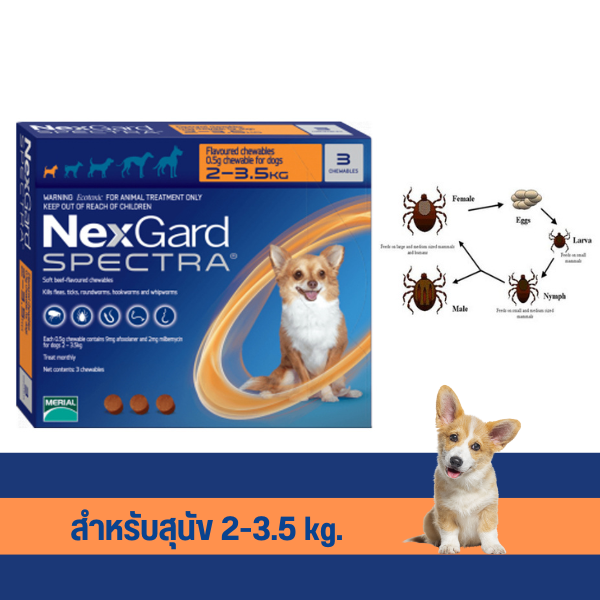 NexGard Spectra สำหรับสุนัข 2-3.5 kg. (บรรจุ 3 เม็ด )