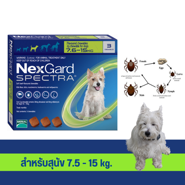 NexGard Spectra dog 7.5-15 kg ( บรรจุ 3 เม็ด )