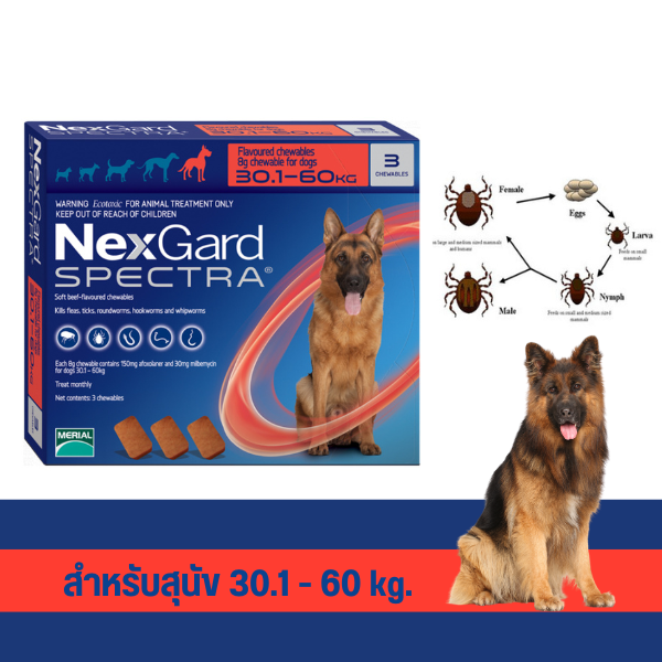 NexGard Spectra สำหรับสุนัข 30.1 - 60 kg. ( บรรจุ 3 เม็ด )