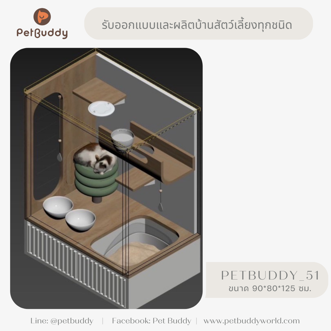 Petbuddy_51 บ้านแมว