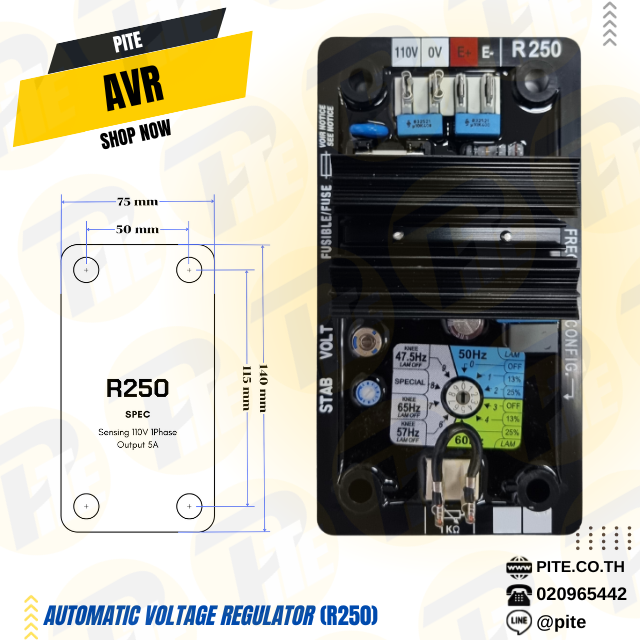Automatic Voltage Regulator (R250)