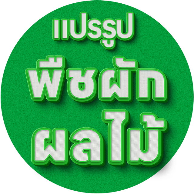 An Image