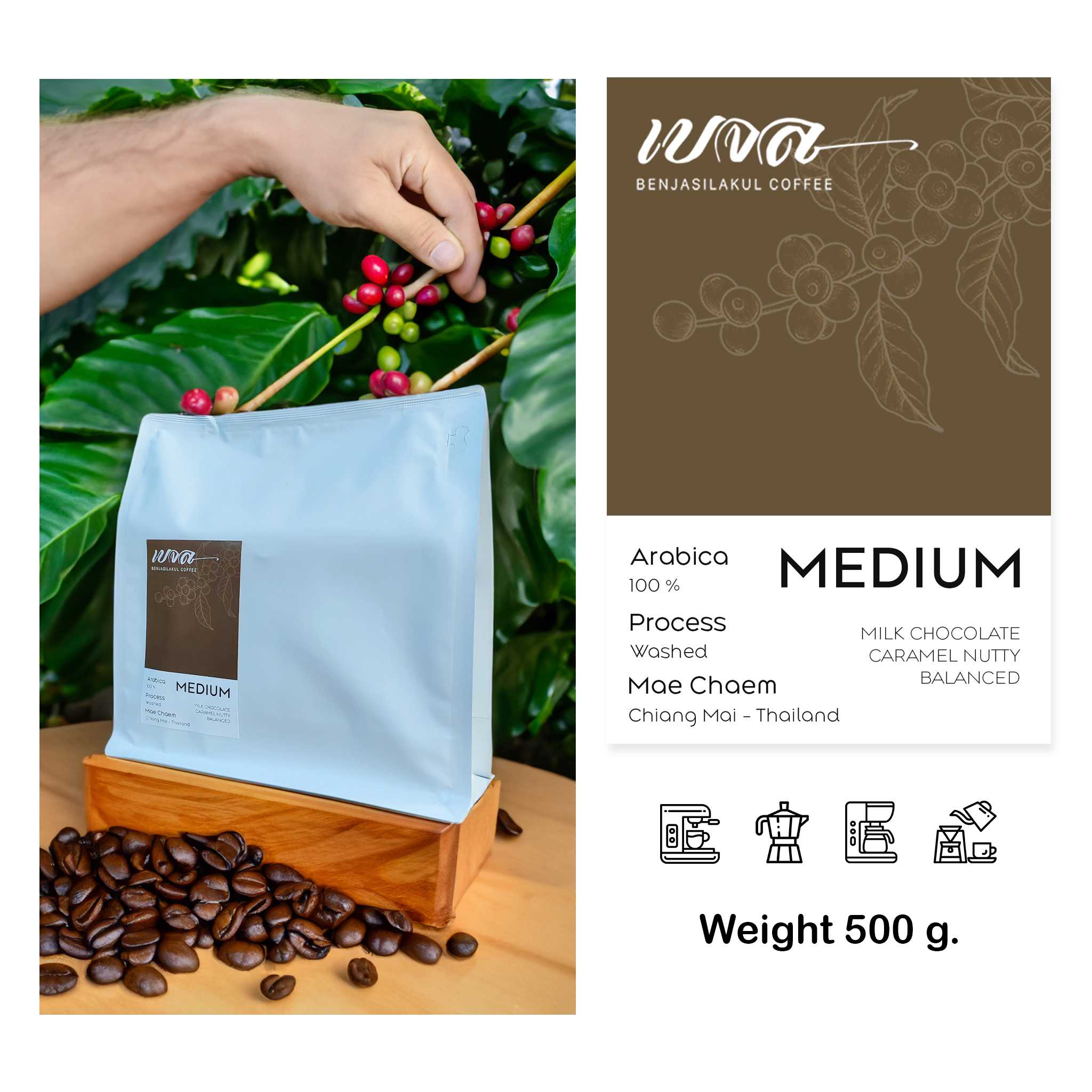 เมล็ดกาแฟคั่ว อาราบิก้า 100% (Single Origin) ขนาด 500 กรัม​ คั่วกลาง (Medium Roast)