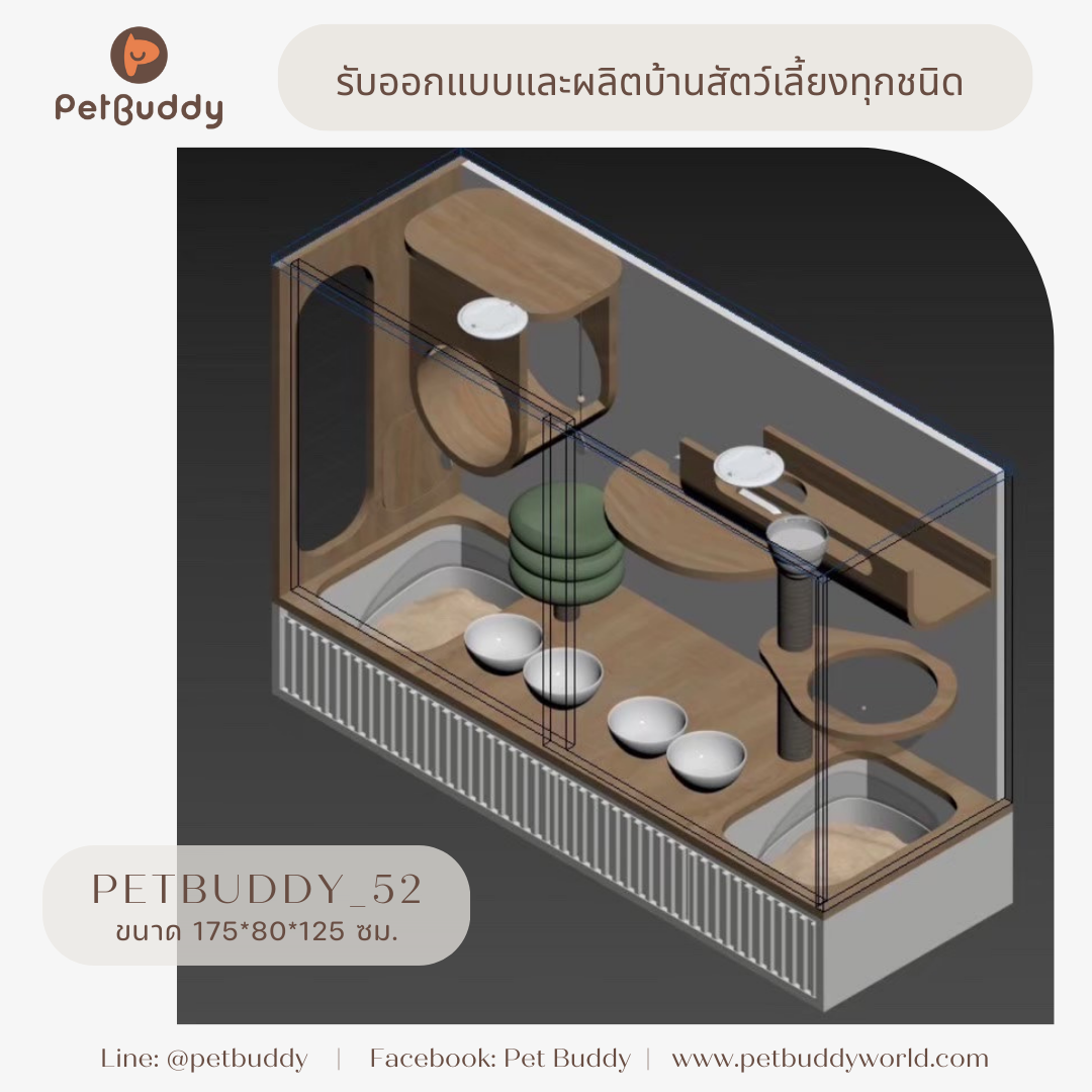 Petbuddy_52 บ้านแมว