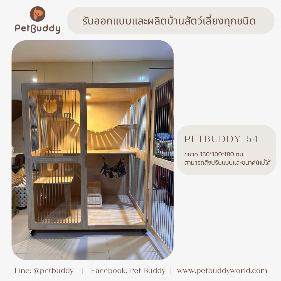 Petbuddy_54 บ้านแมว
