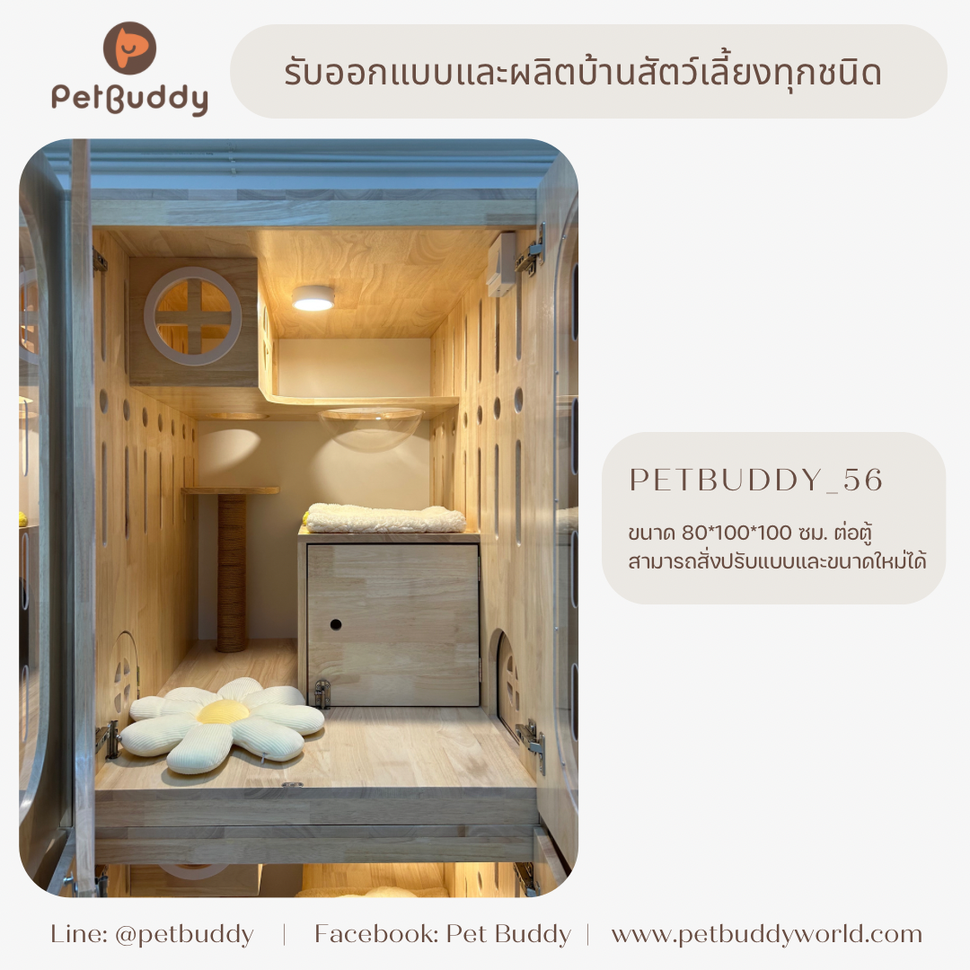 Petbuddy_56 บ้านแมว โรงแรมแมว
