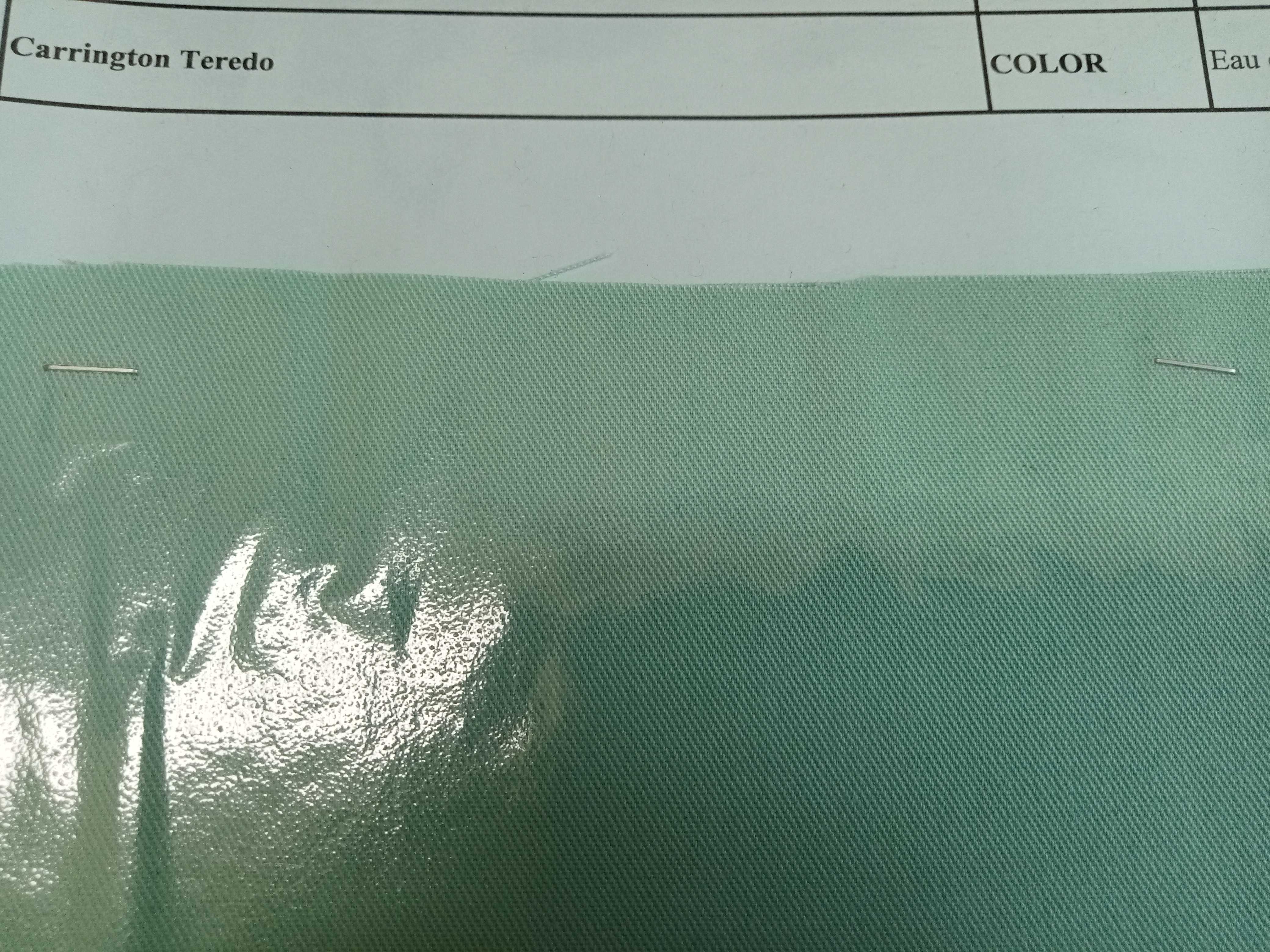 ผ้า Carrington Teredo สี Eau de Nil