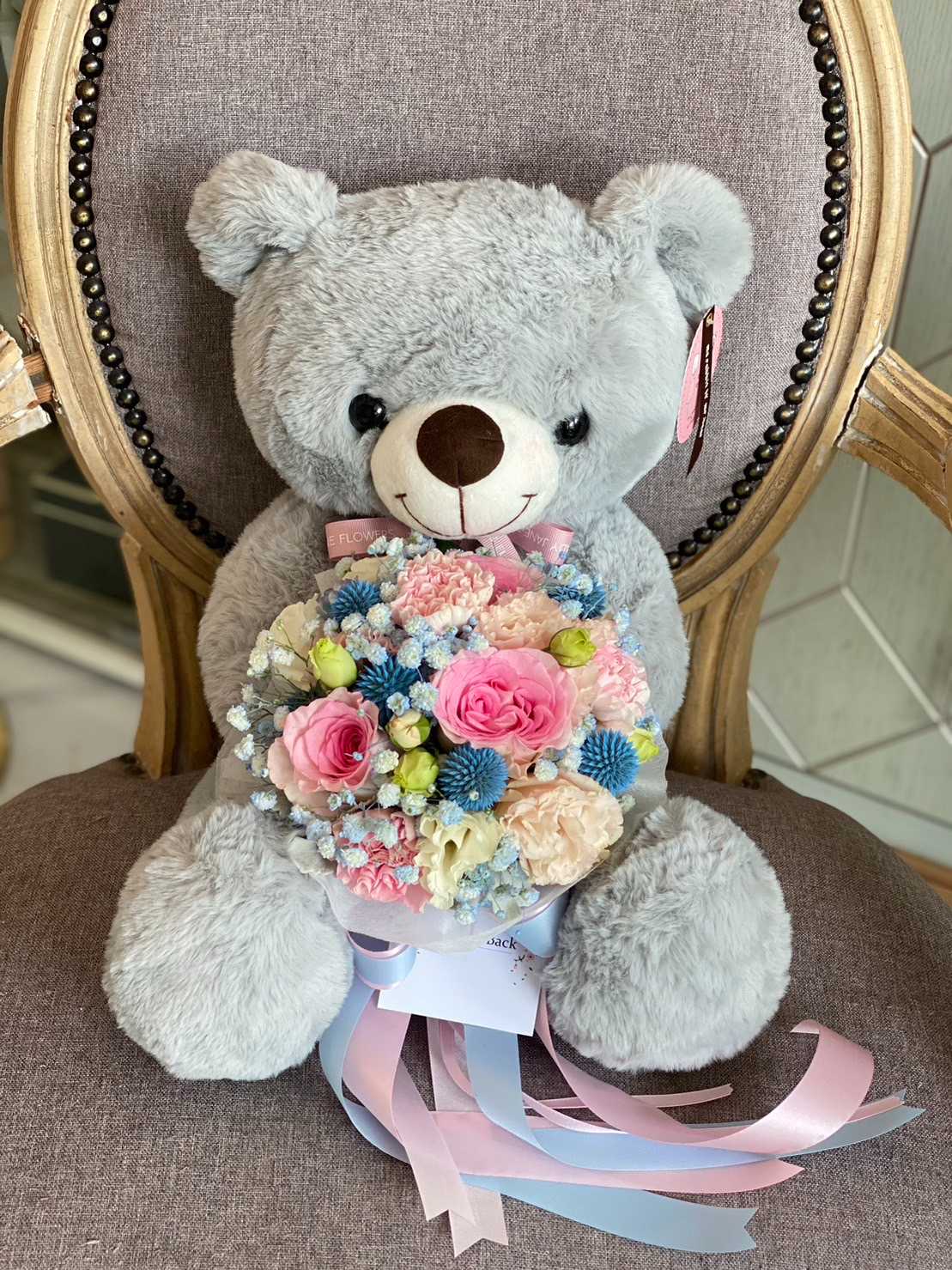 teddy 50 cm