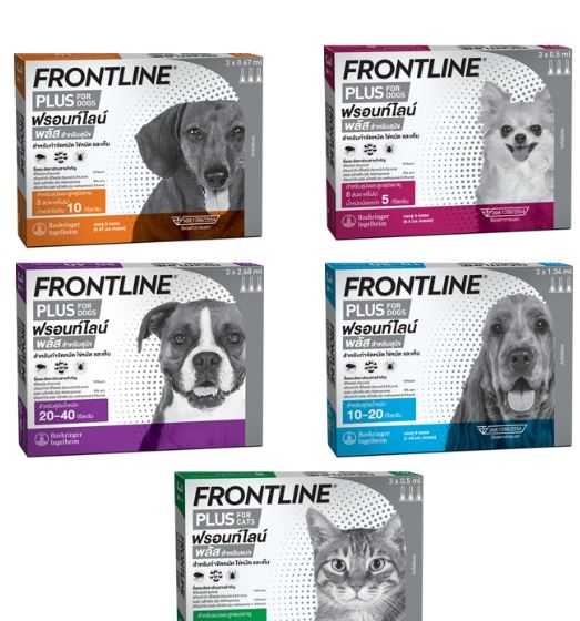 Frontline Plus (ฟรอนท์ไลน์ พลัส) ยาหยอดกำจัดเห็บ หมัด สุนัข และ แมวบรรจุ 3 หลอด