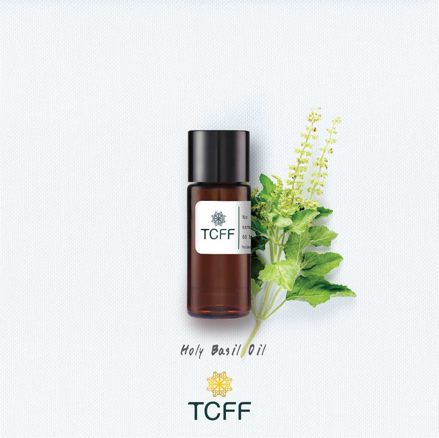Holy Basil Oil
