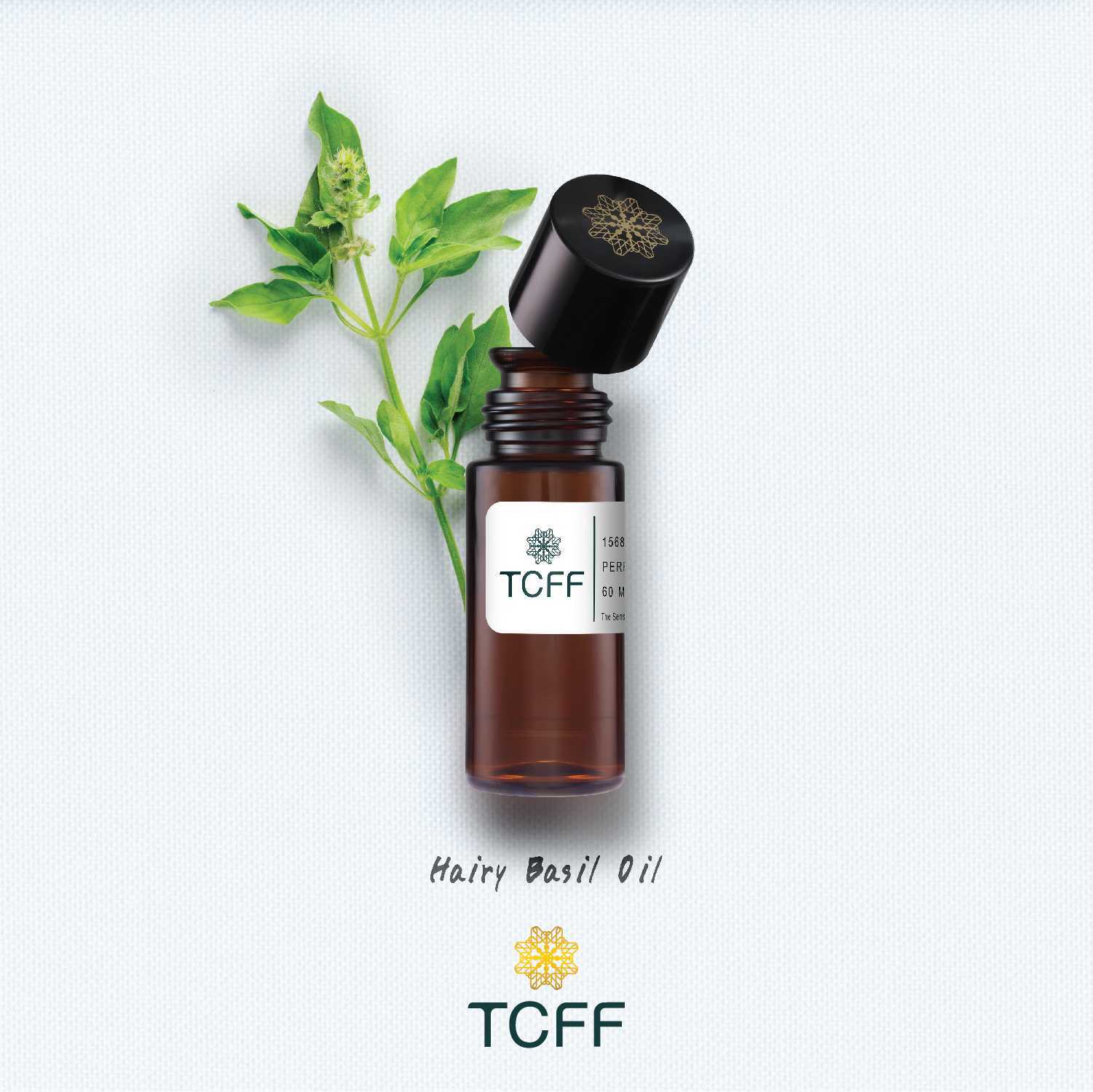 Hairy Basil Oil