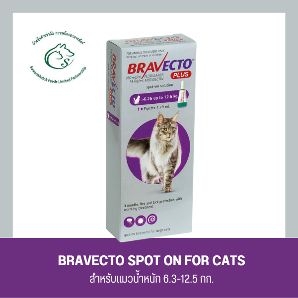 Bravecto Spot - On For Cats.สำหรับแมว น้ำหนัก 6.3 - 12.5 กก.