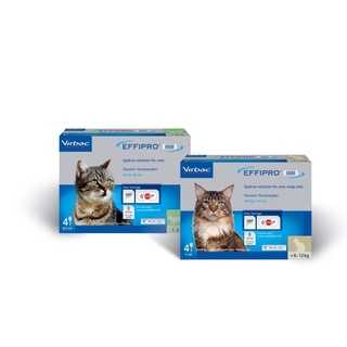 EFFIPRO DUO Spot-on Solution for cats ยาหยอดแมว เห็บ หมัด  สำหรับแมว