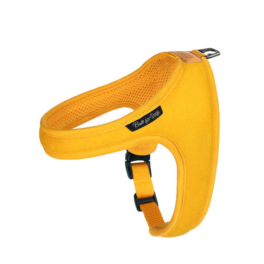 Charlie's Backyard-TOWN HARNESS / YELLOW