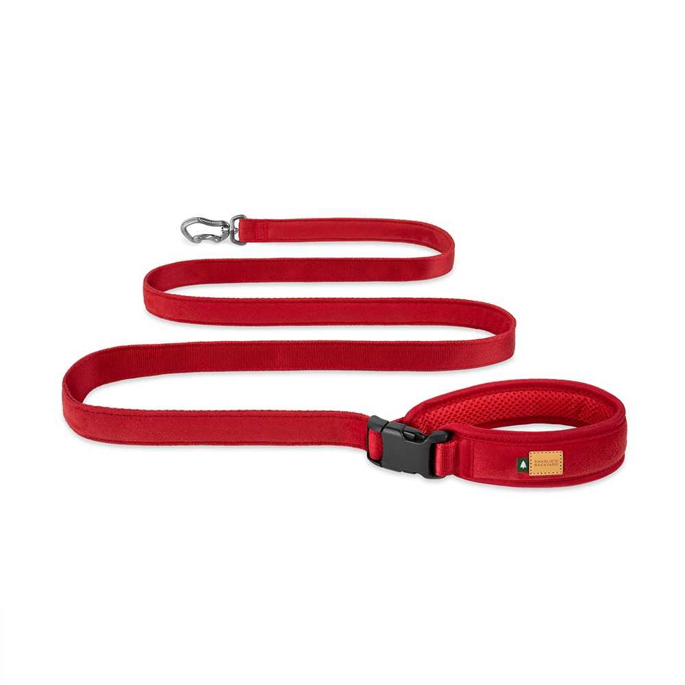 Charlie's Backyard-TOWN LEASH / RED