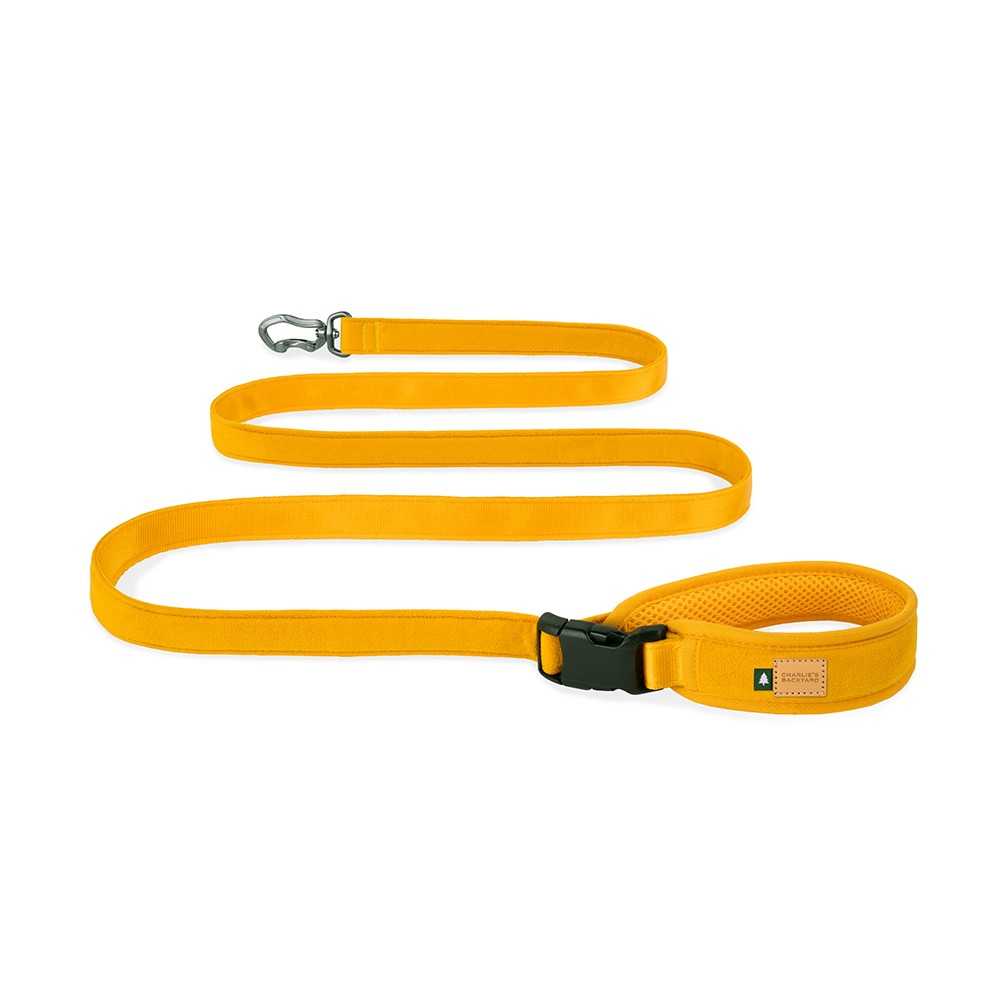 Charlie's Backyard-TOWN LEASH / YELLOW