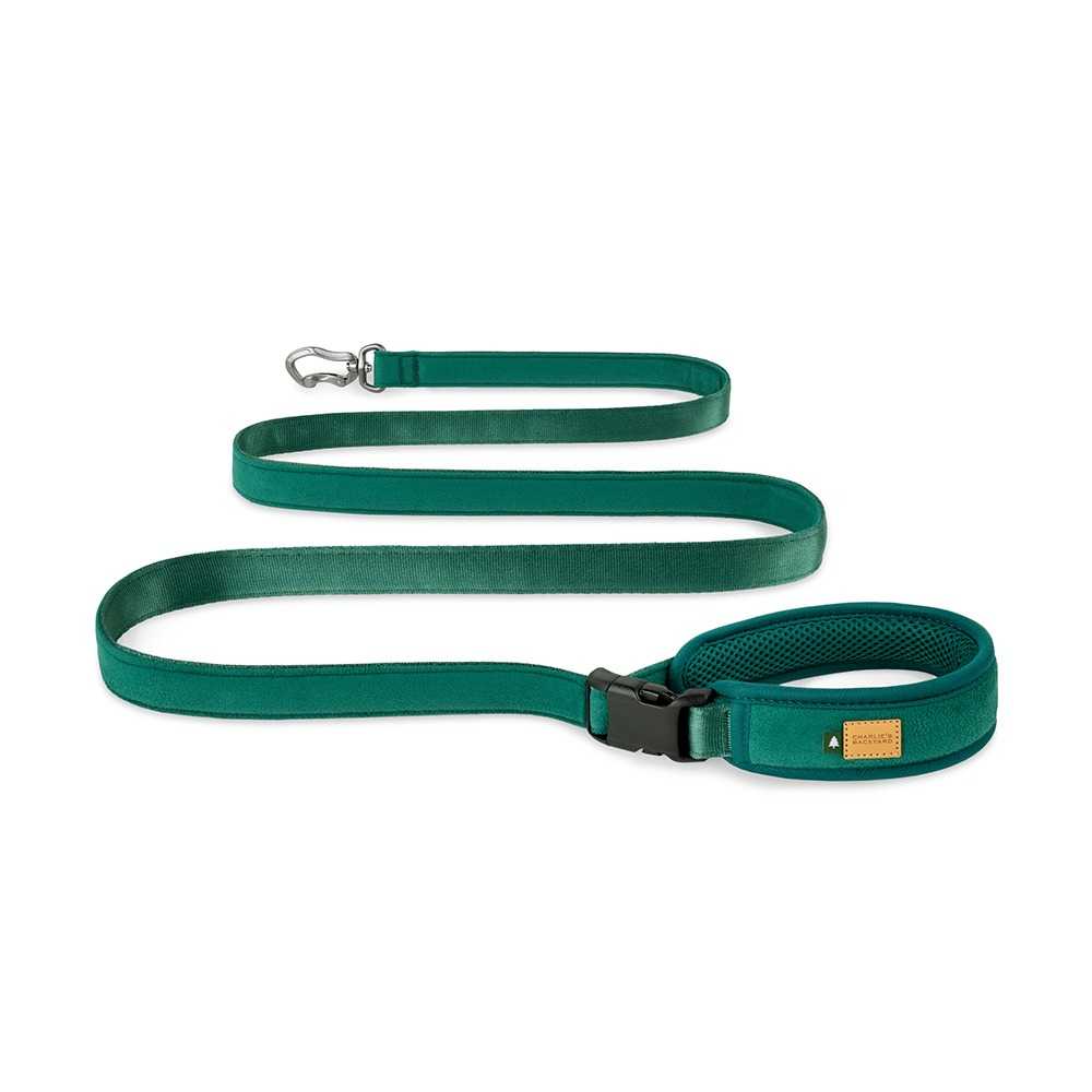 Charlie's Backyard-TOWN LEASH / GREEN