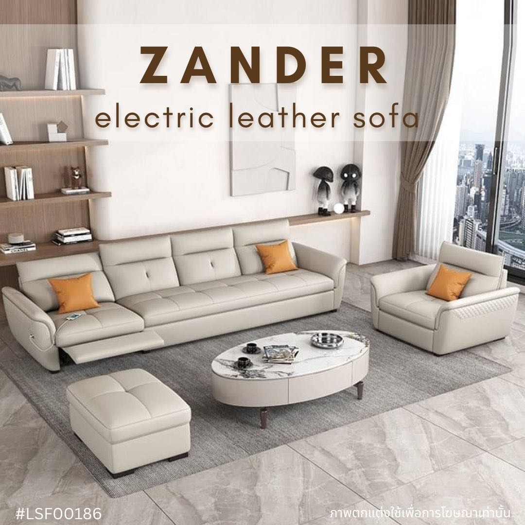 ZANDER electric leather sofa 