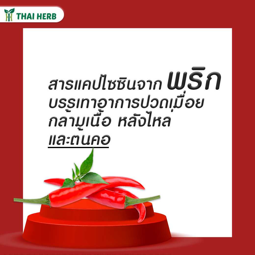 เจลพริก 30 กรัม/หลอด