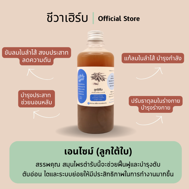 เอนไซม์(ลูกใต้ใบ)