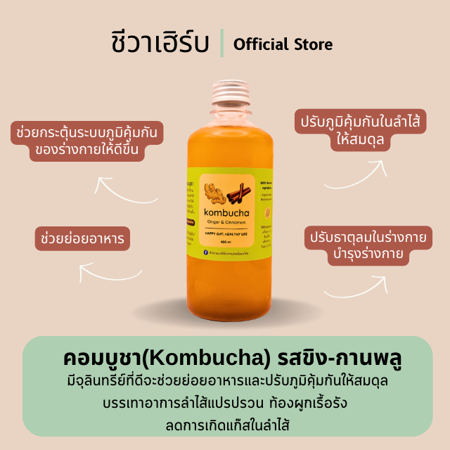 คอมบูชา(Kombucha) รสขิง-กานพลู