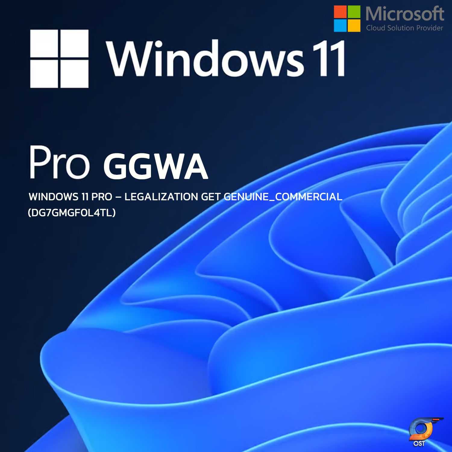 Windows 11 Professional – Legalization GetGenuine_Commercial(GGWA)