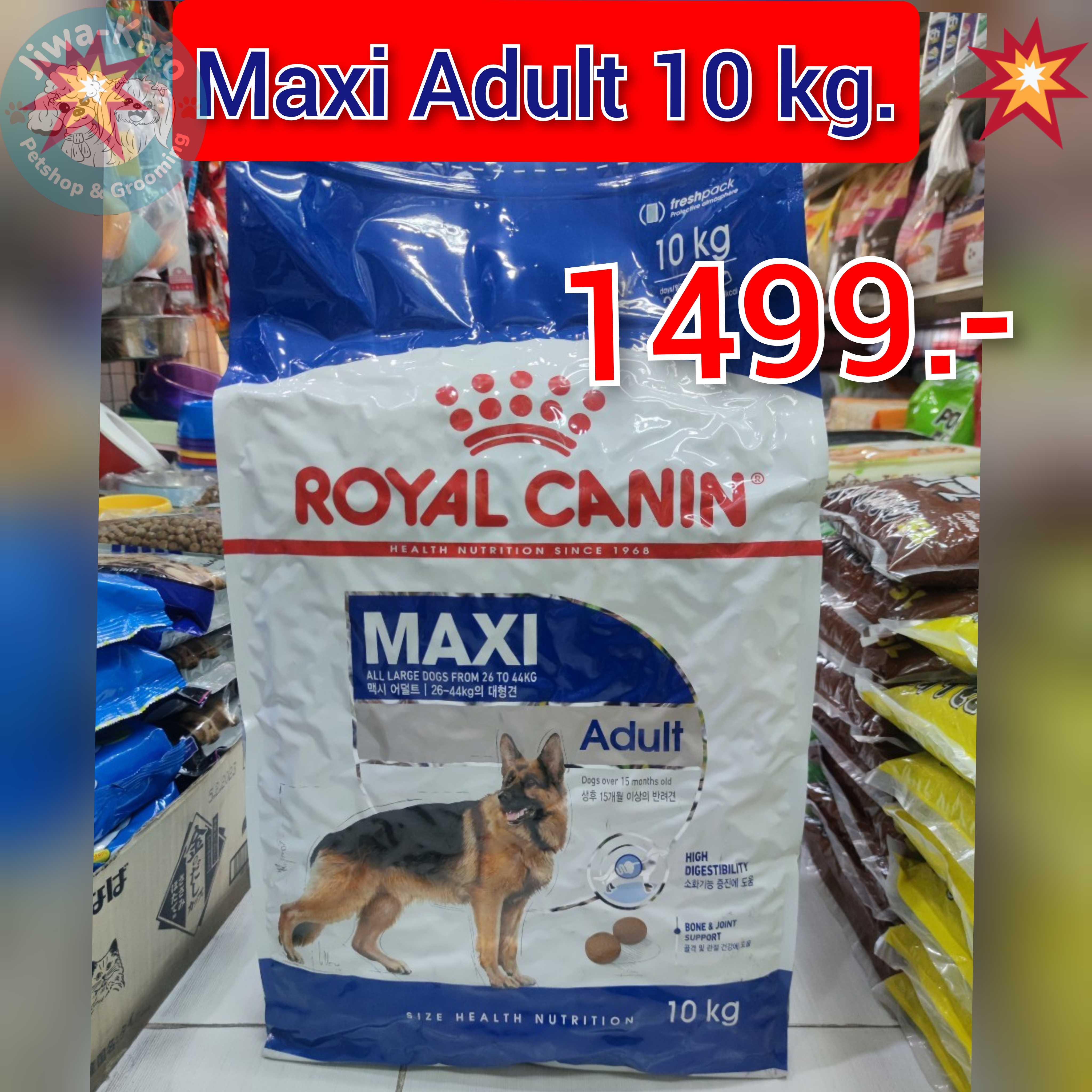 (exp:1/2024)Royal canin Maxi Adult สุนัขโต พันธุ์ใหญ่ กระสอบ 10 กก