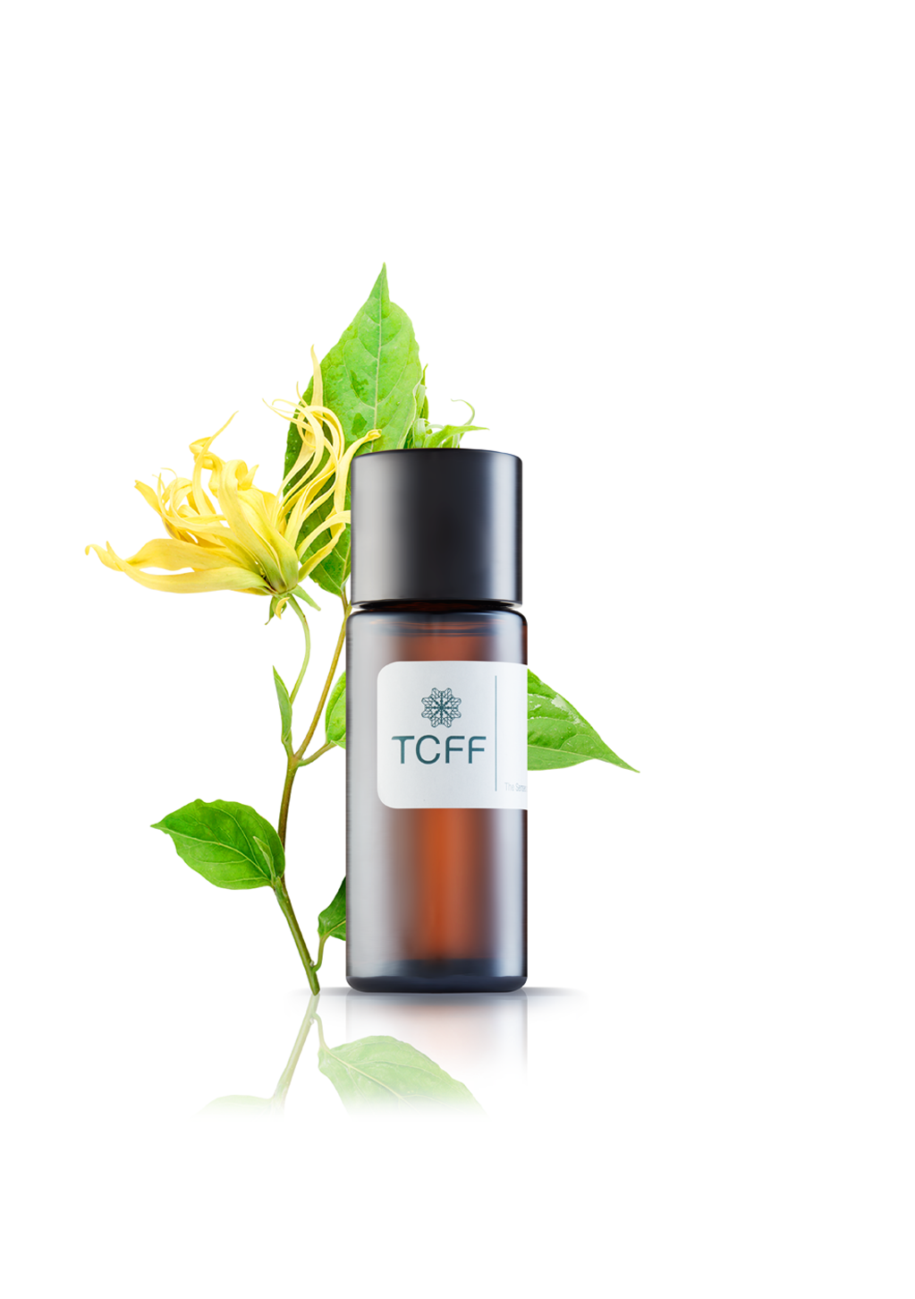 Ylang Ylang Oil